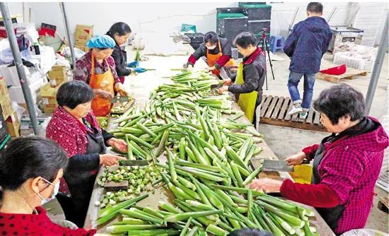 盒馬鮮生上海新門店，新零售模式升級與創(chuàng)新體驗之旅