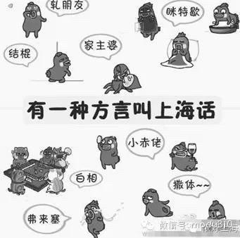 上海話(huà)在線(xiàn)翻譯工具，連接傳統(tǒng)與現(xiàn)代的溝通橋梁