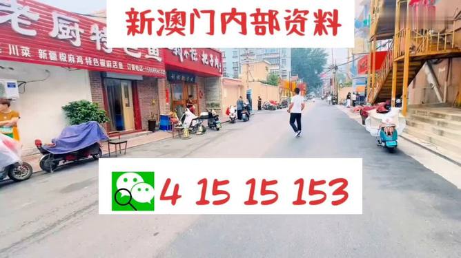 2024新澳門天天開好彩大全正版,準(zhǔn)確資料解釋落實_tShop31.777