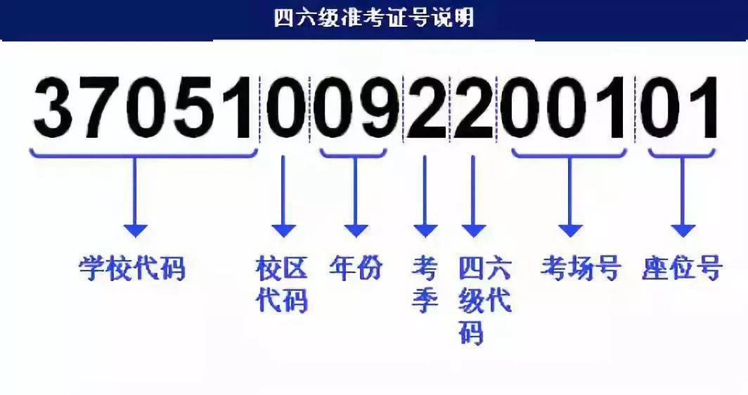 494949最快開(kāi)獎(jiǎng)結(jié)果+香港,精細(xì)執(zhí)行計(jì)劃_Harmony20.454