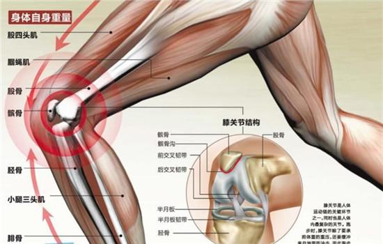 膝蓋保護(hù)終極指南，全面守護(hù)您的關(guān)節(jié)健康