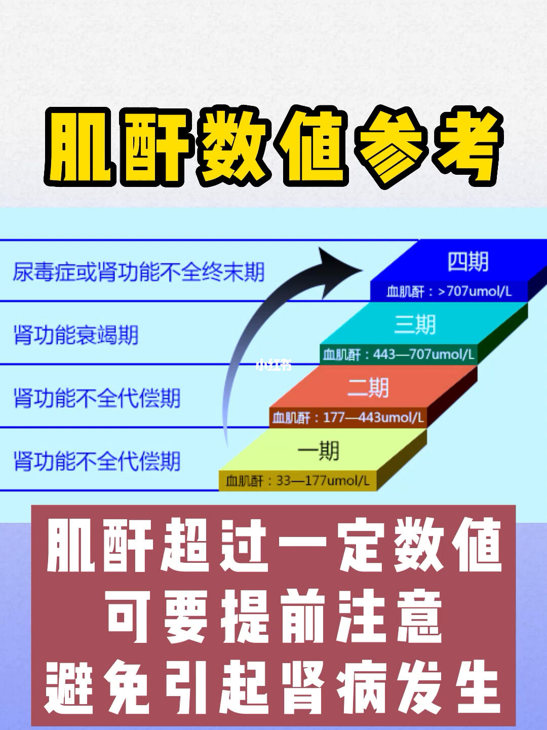 肌酐最新標準范圍及其重要性解析