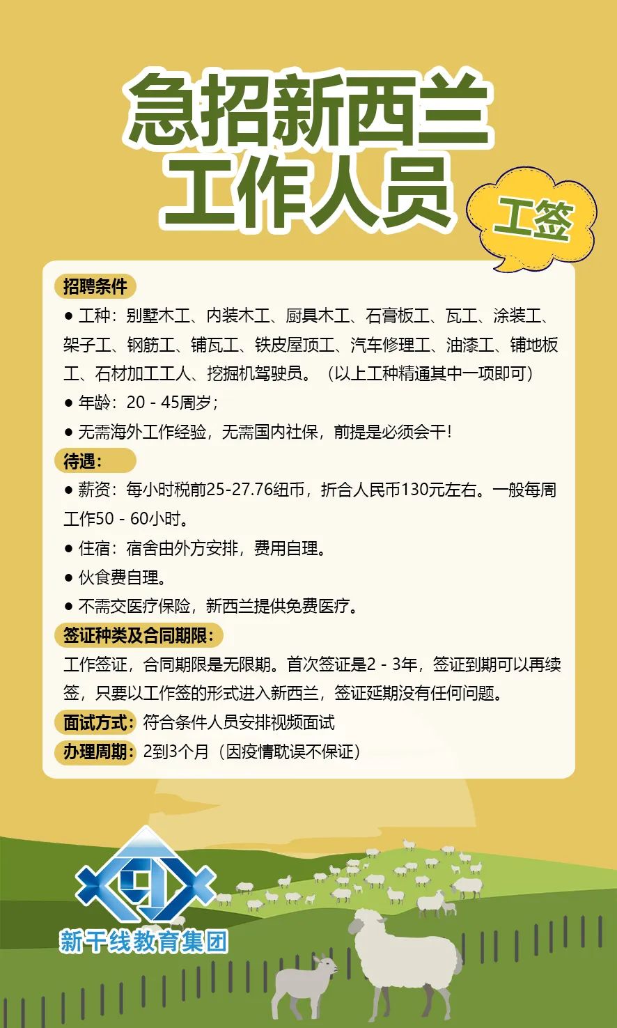 新西蘭最新招聘動(dòng)態(tài)，行業(yè)機(jī)遇與職業(yè)前景展望