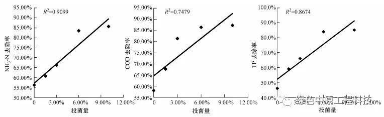 最新污水處理技術(shù)，邁向高效環(huán)保的未來之路