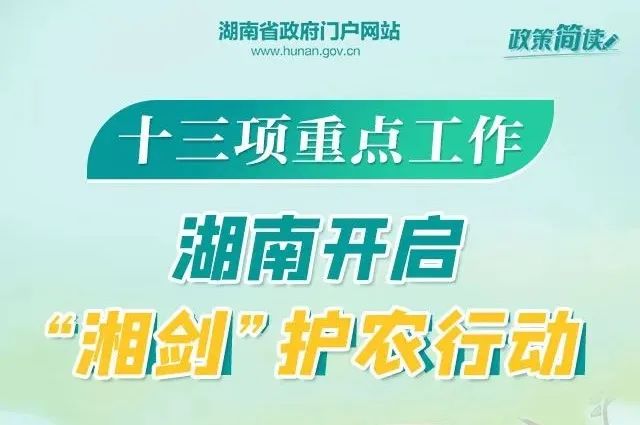 晉江注塑領(lǐng)班招聘啟事，高效團隊構(gòu)建與行業(yè)未來共筑之路