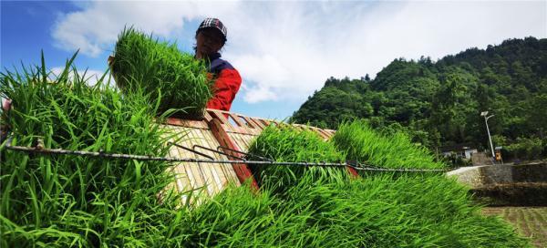 麻江縣交通運(yùn)輸局最新發(fā)展規(guī)劃概覽